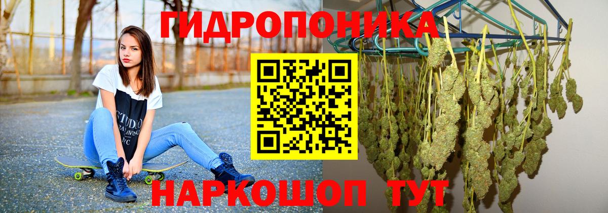 Бошки марихуана конопля  Канабис гибрид  Балашиха  Вход с VPN  Каннабис OG Kush 